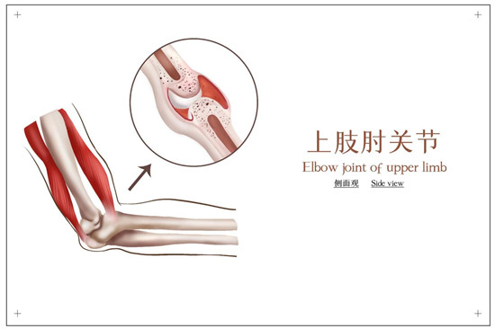 如何吃氨糖软骨素钙片，一起来看看