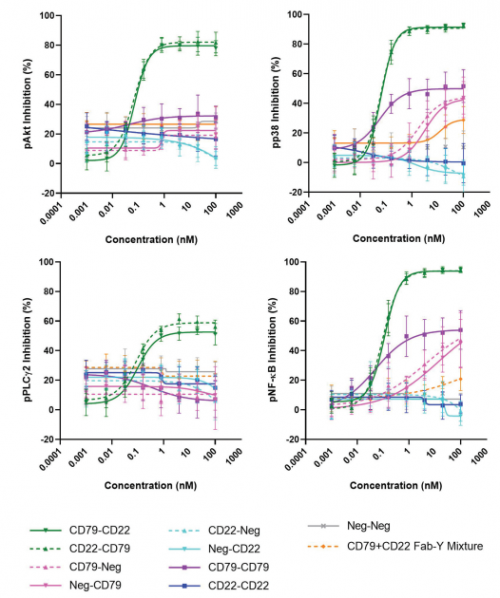 ACROBiosystems百普赛斯解读CD79B，助力满足临床待满足需求