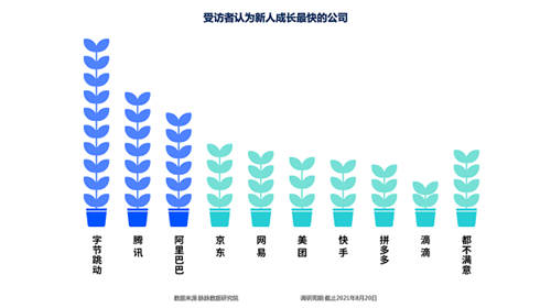 脉脉人才择业报告出炉 互联网新人看重成长力 字节跳动成首选