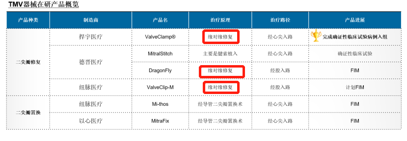 捍宇医疗“冲浪”TMVR黄金赛道，174亿美元规模群雄逐鹿