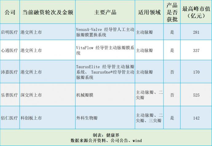 捍宇医疗“冲浪”TMVR黄金赛道，174亿美元规模群雄逐鹿