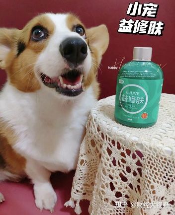 怕狗狗脱毛啦！我的小宠益修肤使用心得