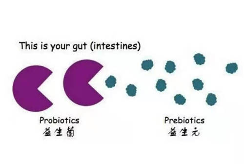 这么多益生菌品牌，选哪个牌子好