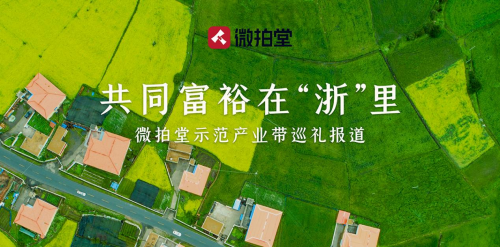 他在微拍堂加工“飞来的财富” 家门口创业年入百万