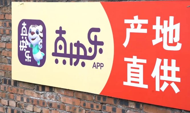 新品脐橙尝鲜价 快上“真快乐”APP领取优惠券