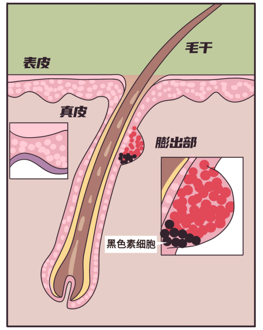 长胡子不是女生“原罪”，让Ulike脱毛仪来为你解决烦恼