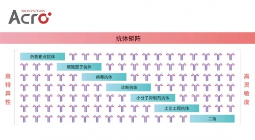 ACROBiosystems百普赛斯抗体矩阵再添新IFN-γ，助力加速生物药研发上市进程