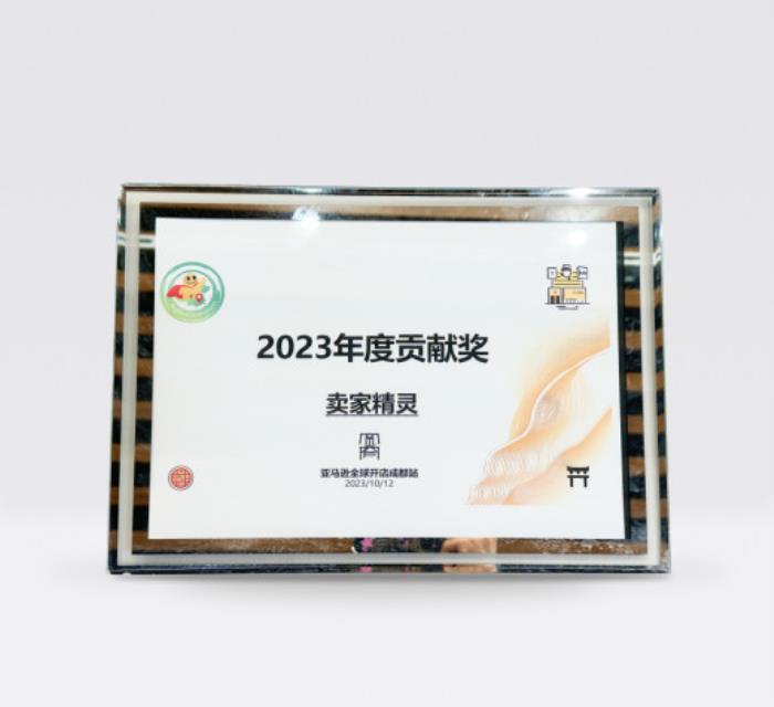 卖家精灵荣获亚马逊TSPN 2024年度服务商—卓越领航奖！