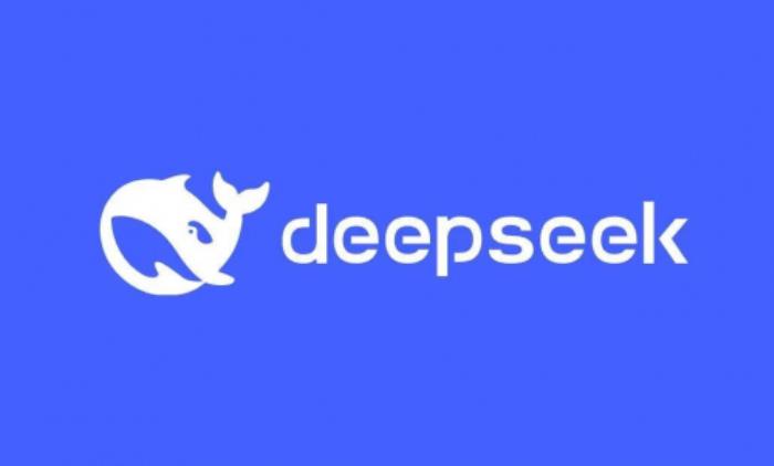 Deepseek算卦DIC 2025，今年“巳”个好年